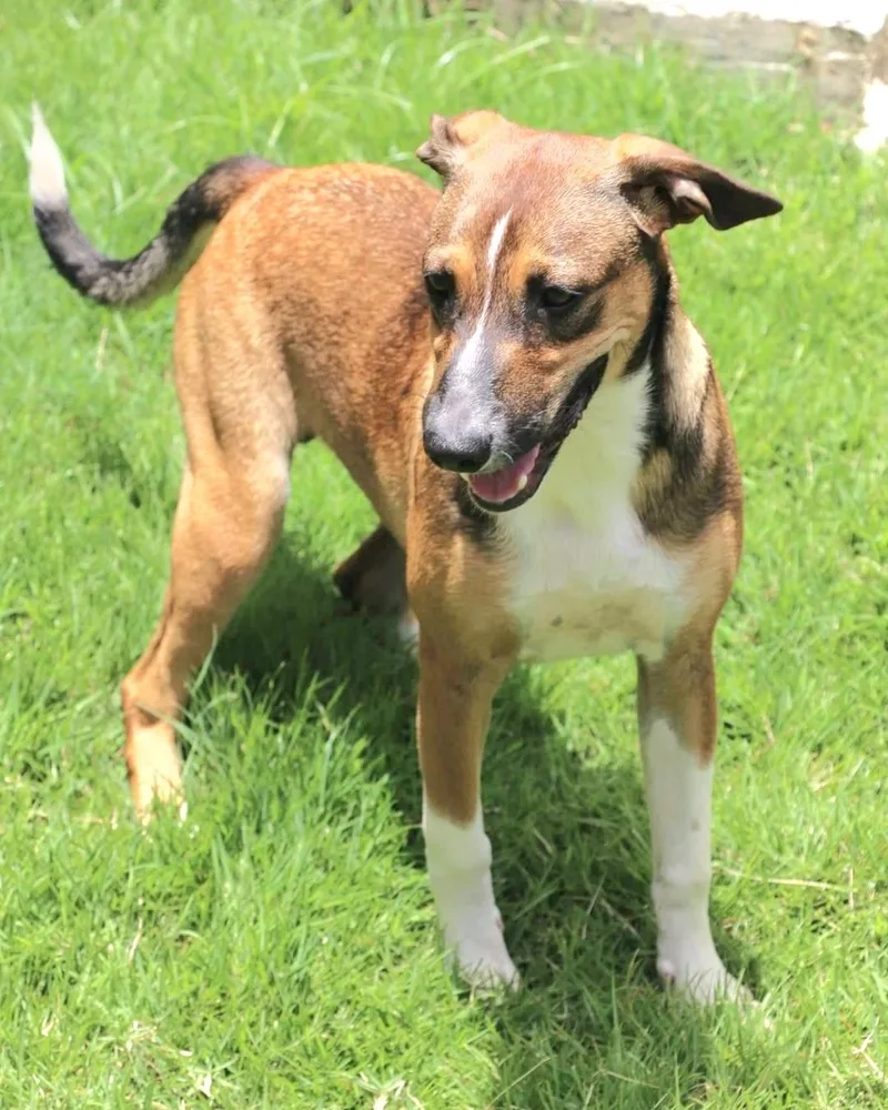 Ricky "i Am A thumbnail 6