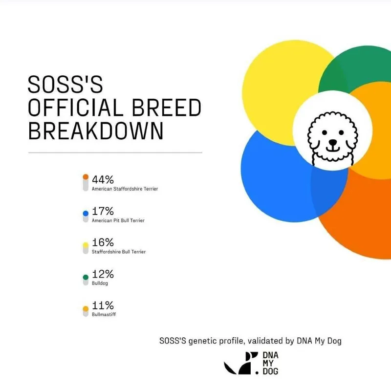 Soss