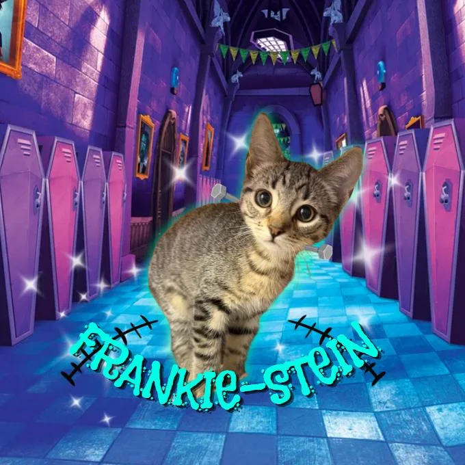 Frankie Stein thumbnail 2