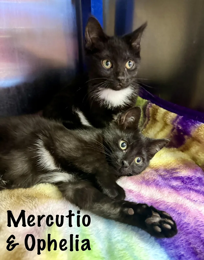 Ophelia & Mercutio