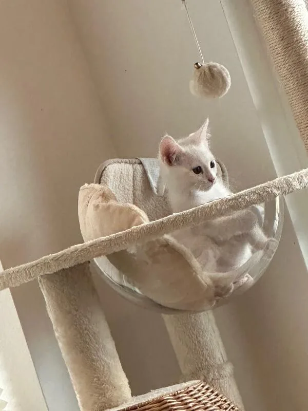 Smudge