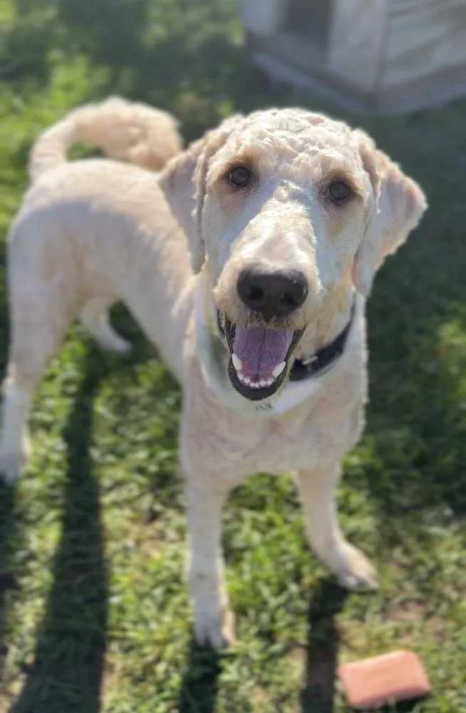 Murphy thumbnail 2