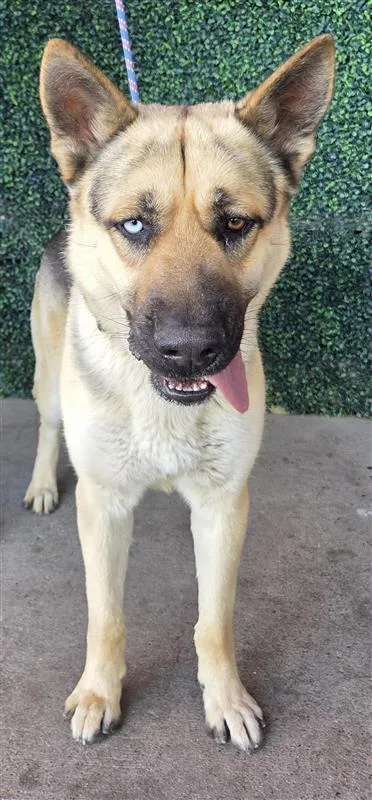 60670299 thumbnail 2