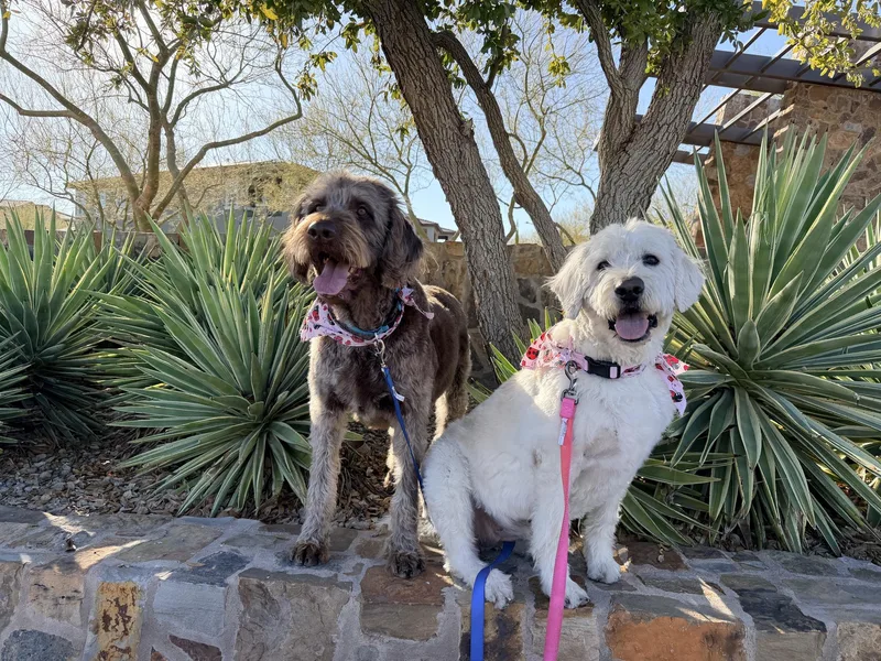 Franklin thumbnail 2