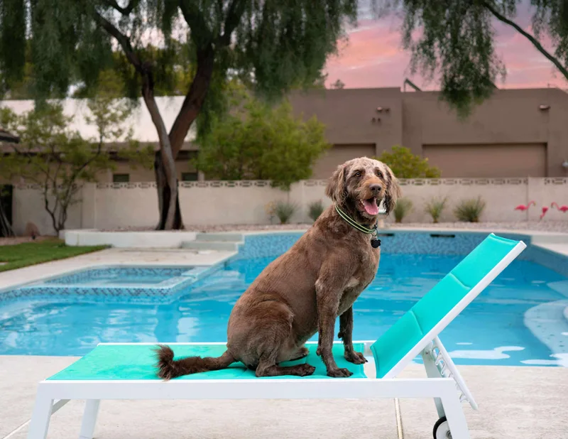 Franklin thumbnail 4