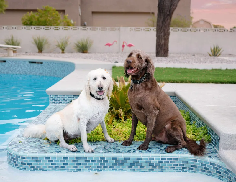 Franklin thumbnail 5