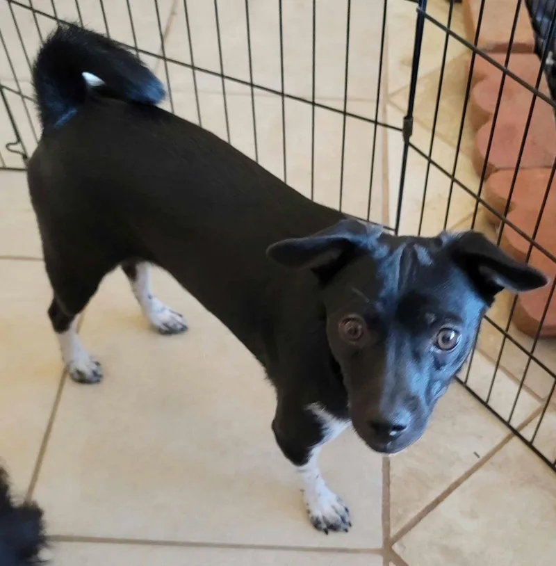 Clarrisa thumbnail 3