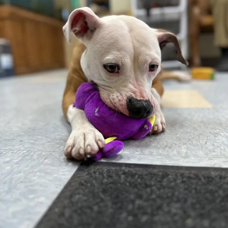 Milly Mae thumbnail 3