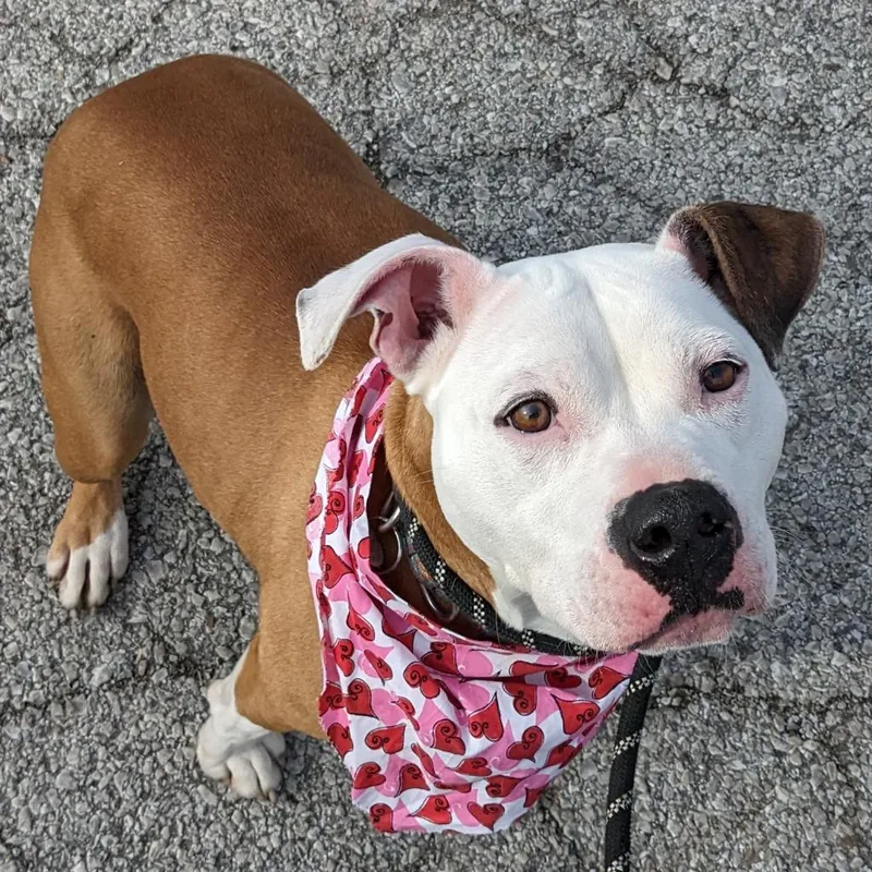 Milly Mae thumbnail 5