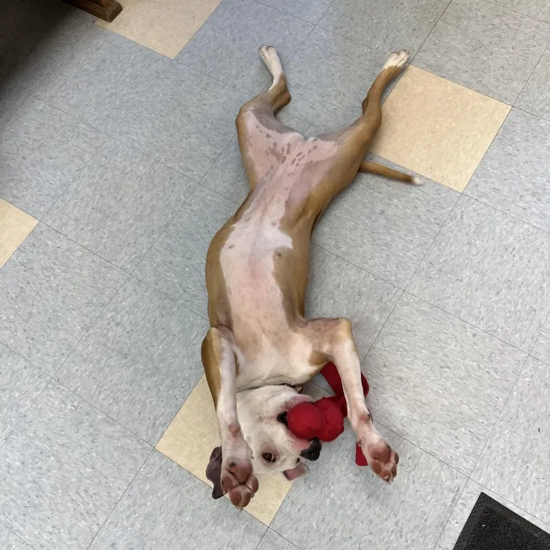 Milly Mae thumbnail 6