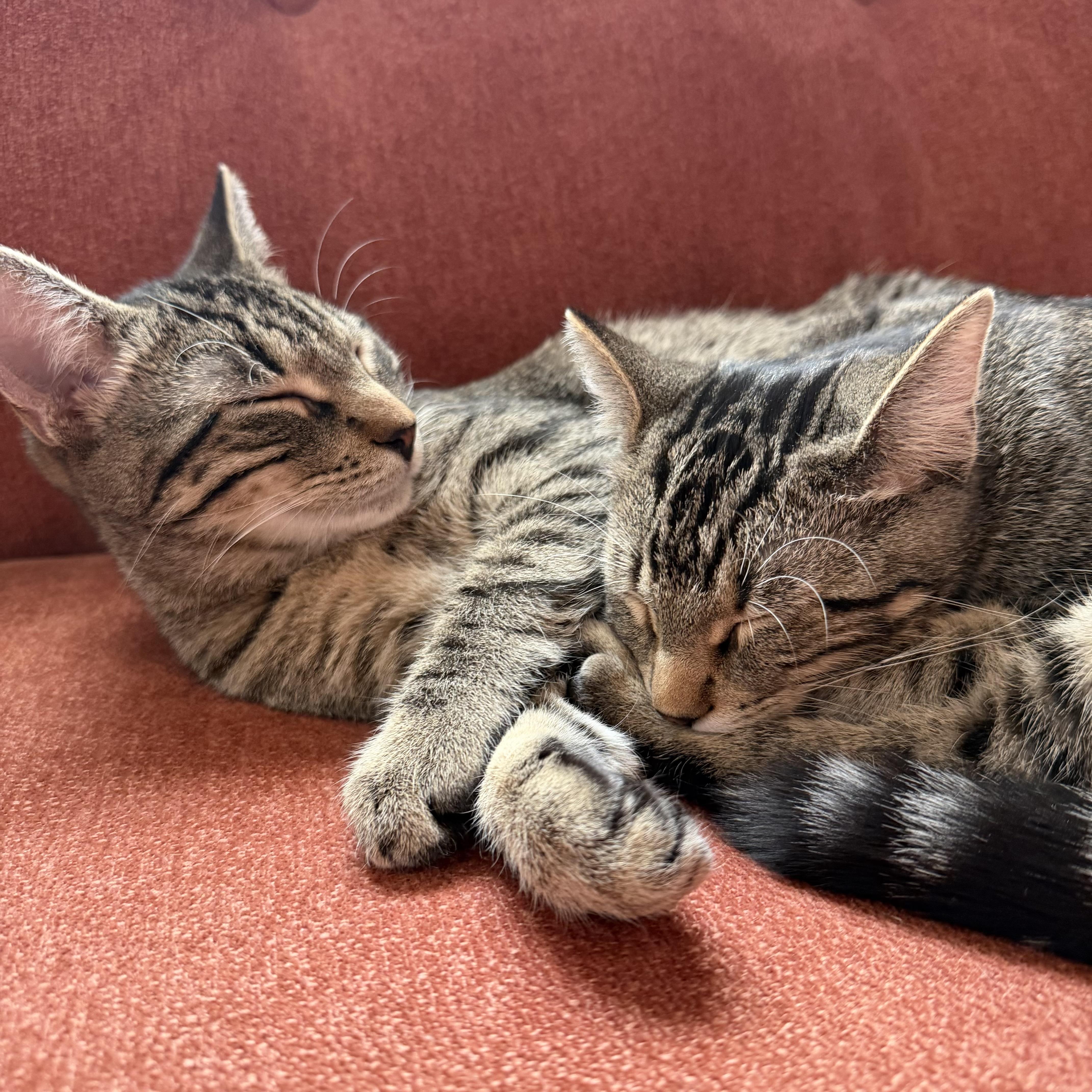 Monstropolis thumbnail 3