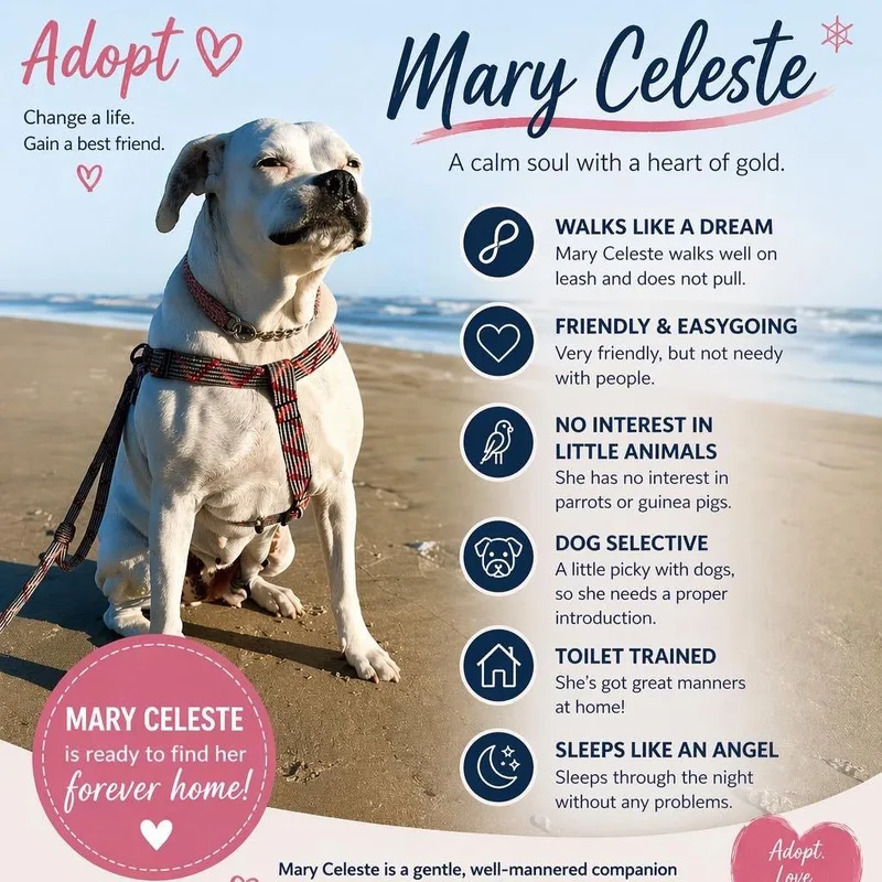 Mary Celeste thumbnail 2