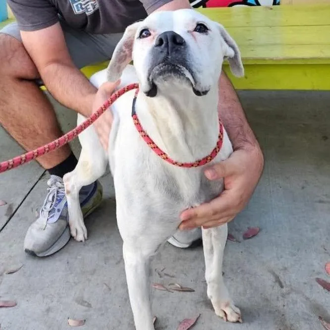 Mary Celeste thumbnail 3