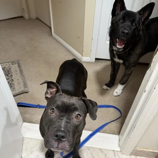 Sweetie Cm thumbnail 3