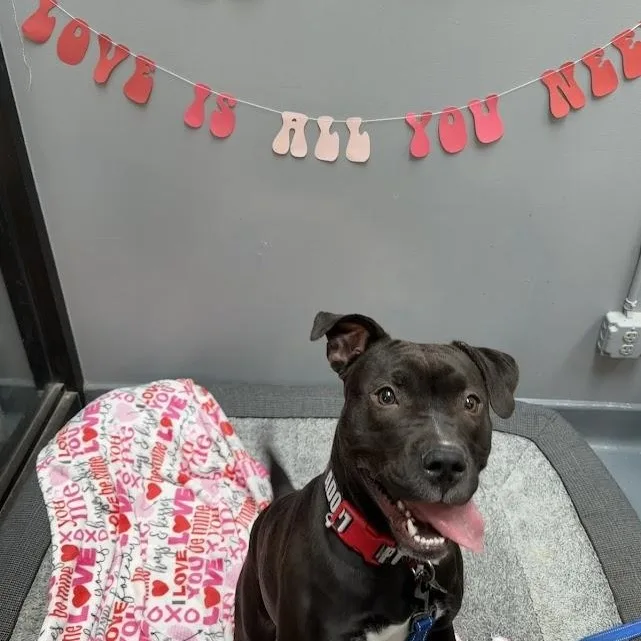 Sweetie Cm thumbnail 6