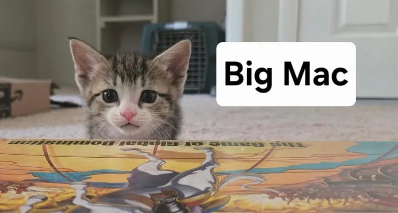 Big Mac thumbnail 2