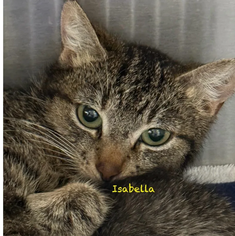 Mama Isabella