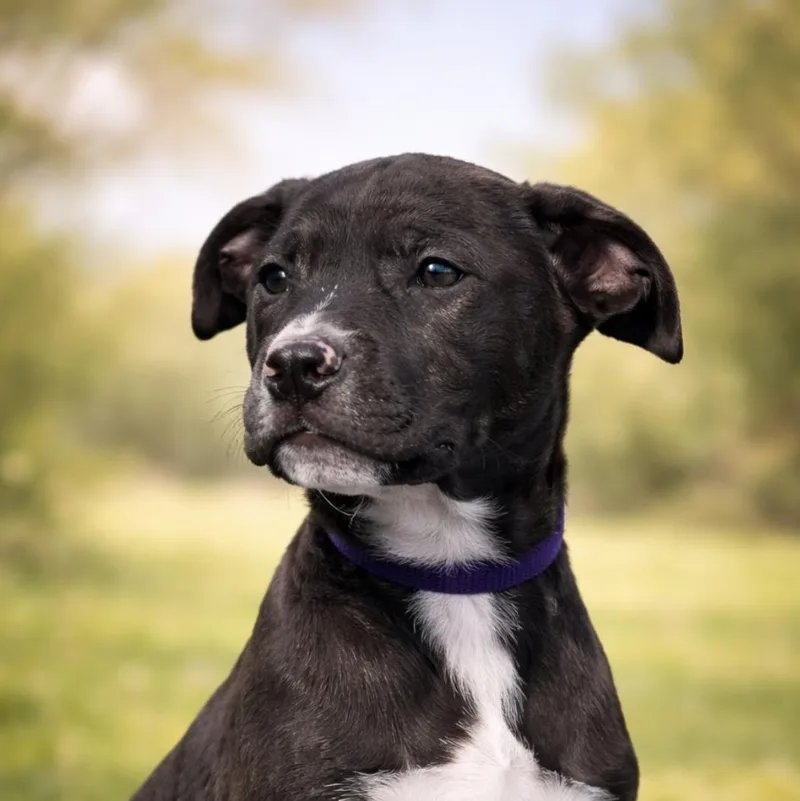 Baby Brenda thumbnail 3