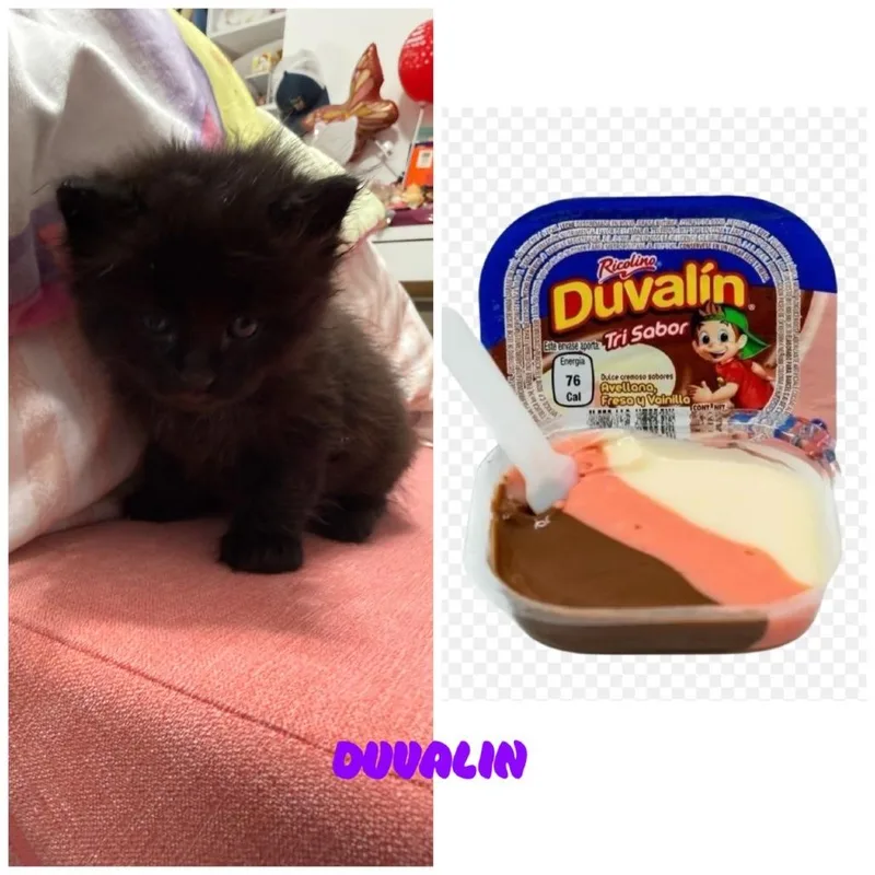 Duvalin