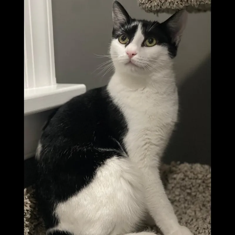 Ophelia Ritt thumbnail 2