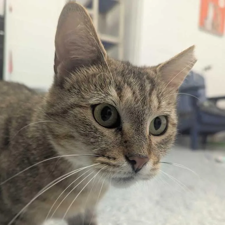 Summer thumbnail 2