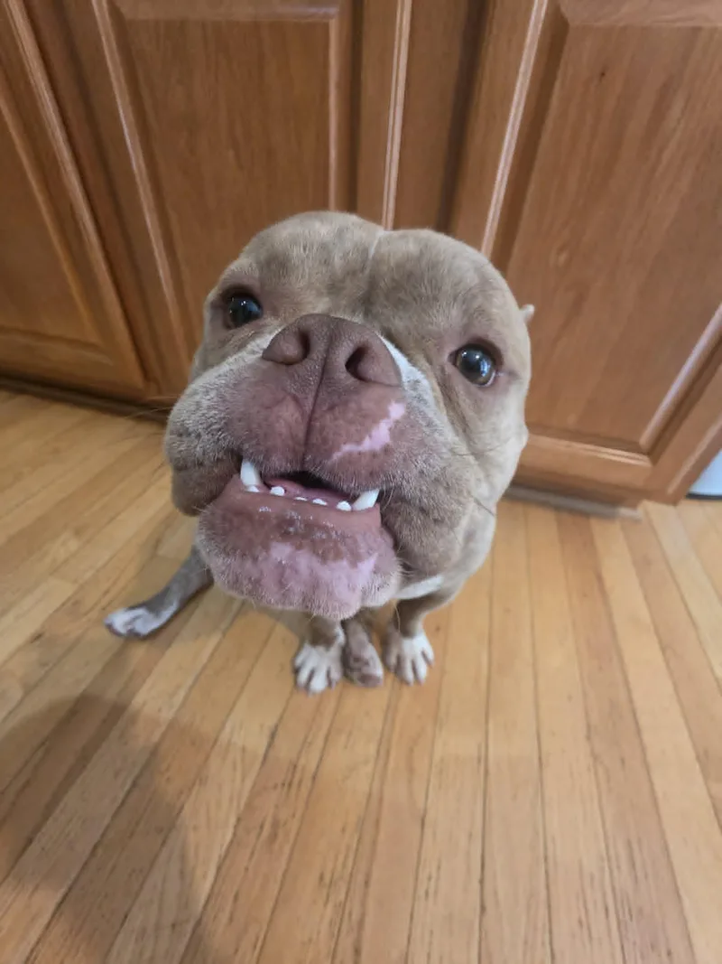 Jax