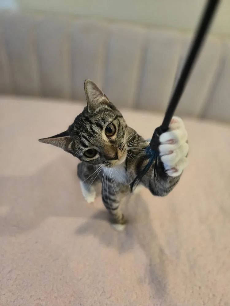 Skittles thumbnail 2