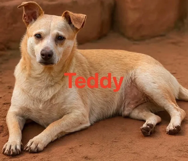Freddie thumbnail 2