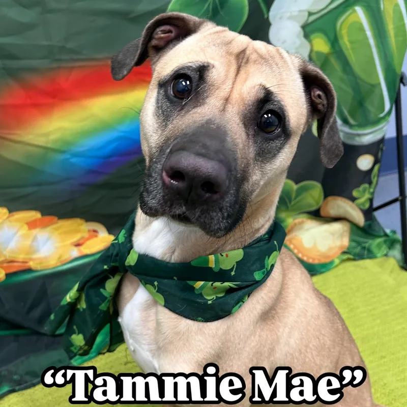 Tammie Mae Tag