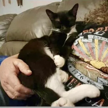 Double Stuf Oreo thumbnail 3