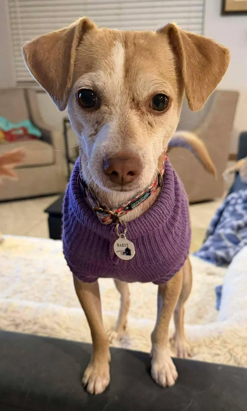 Franklin D Roosevelt "fdr" thumbnail 3