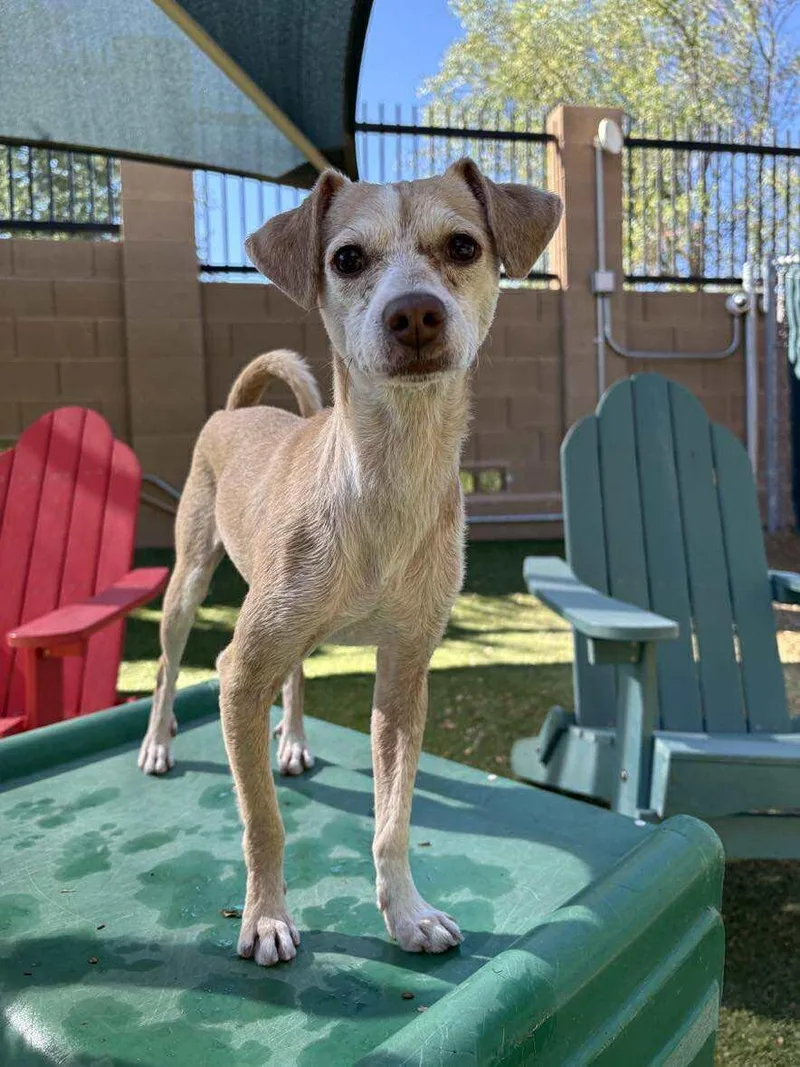 Franklin D Roosevelt "fdr" thumbnail 4