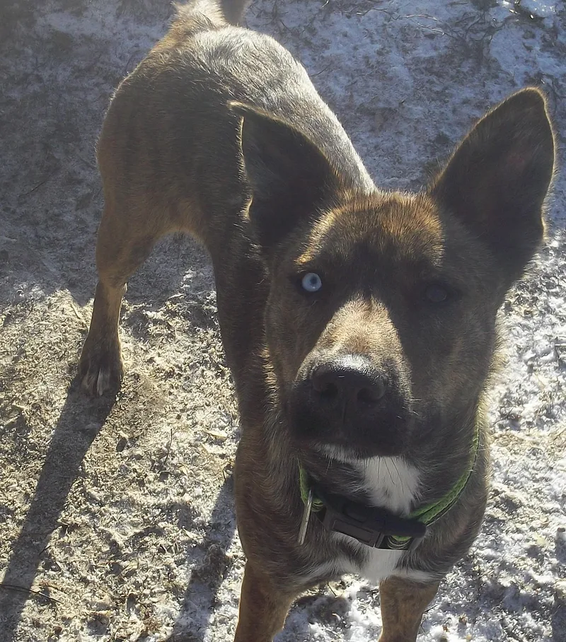 Sparkle Aka Stella thumbnail 2