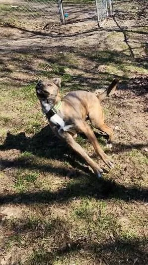 Sparkle Aka Stella thumbnail 3