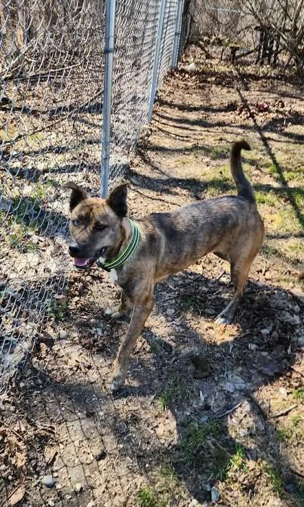 Sparkle Aka Stella thumbnail 4