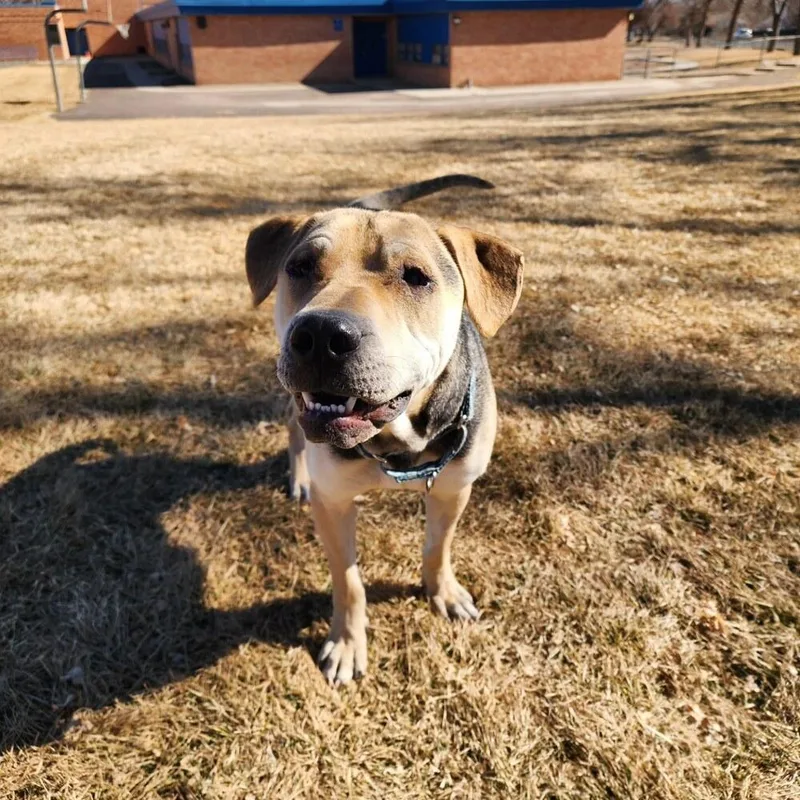 Osito Aka Oso thumbnail 2