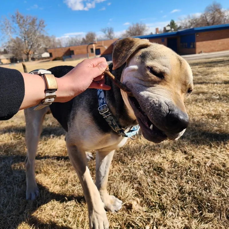 Osito Aka Oso thumbnail 3