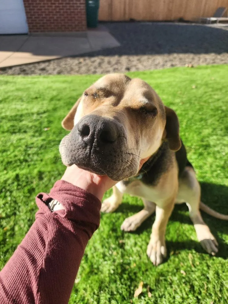 Osito Aka Oso thumbnail 5