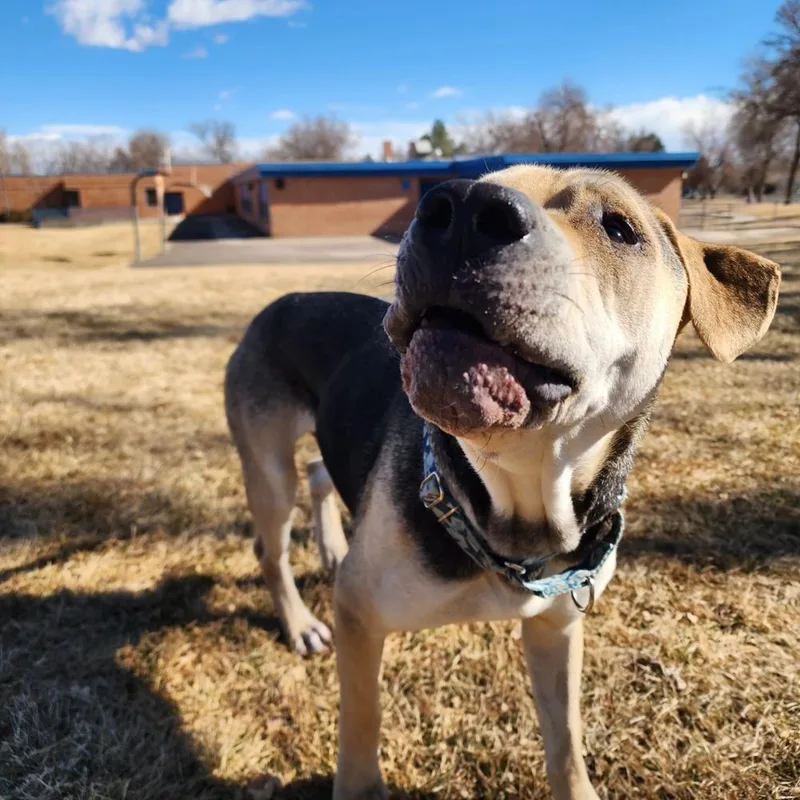 Osito Aka Oso thumbnail 6