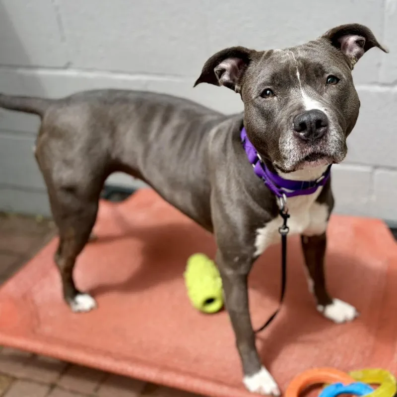 Ms. Muppet thumbnail 4