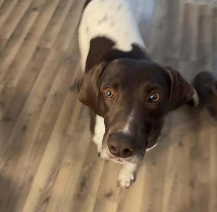 Rupert thumbnail 6