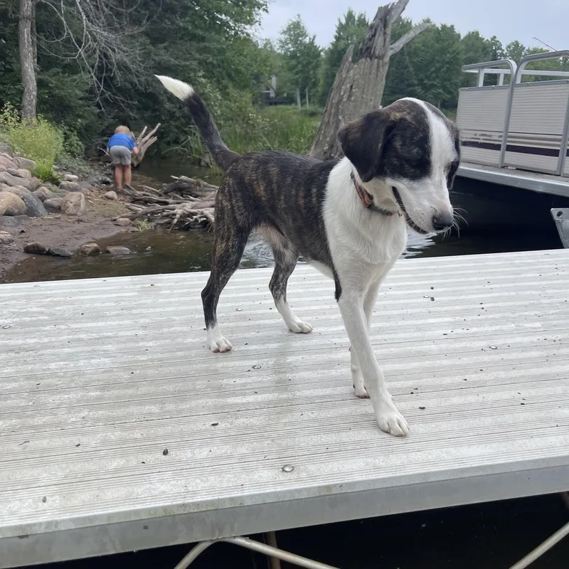 Missy thumbnail 2
