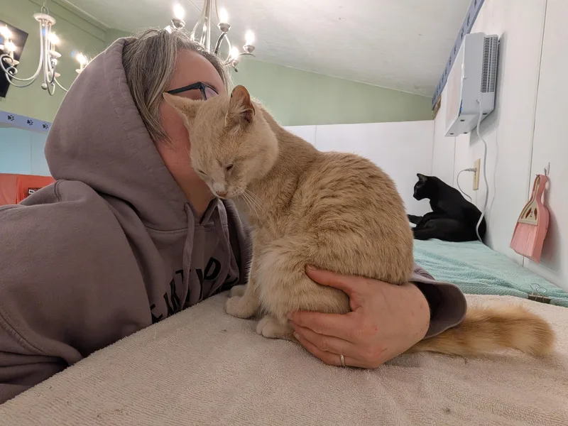 Benny thumbnail 3