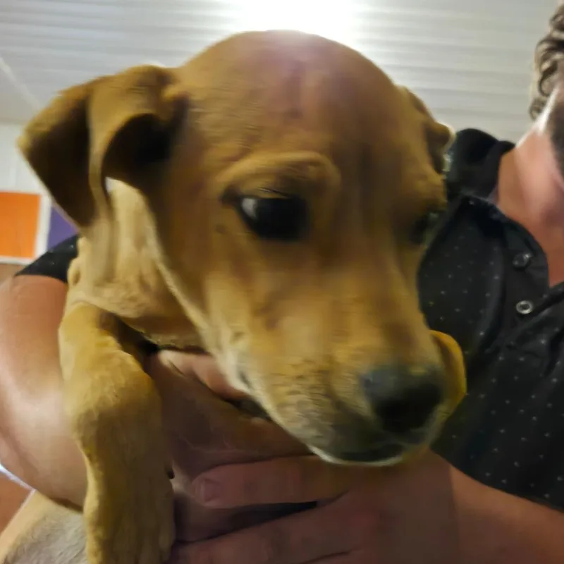 Bert thumbnail 2