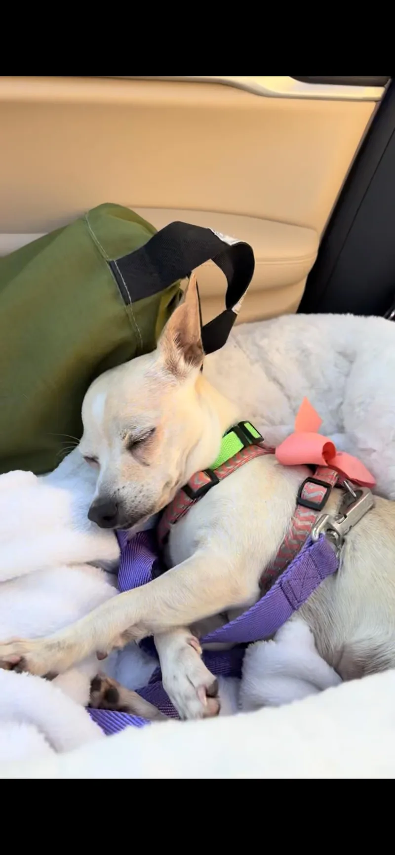 Sally thumbnail 3