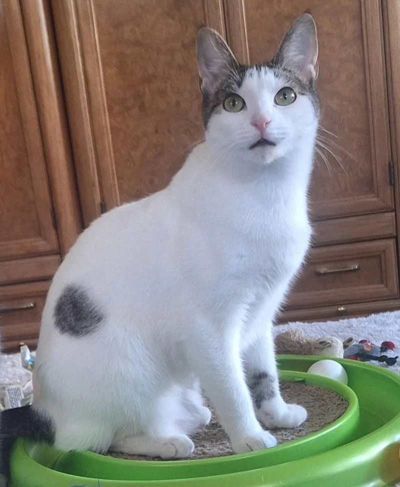 Sugar And Sherry And