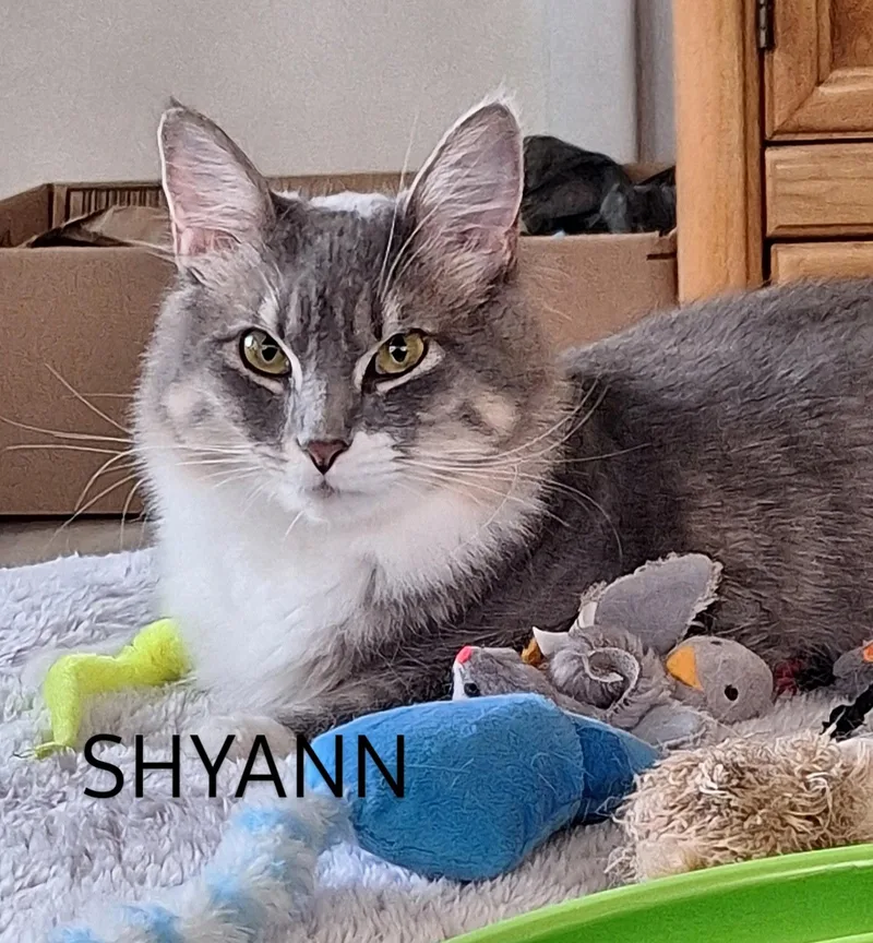 Sugar And Sherry And thumbnail 2