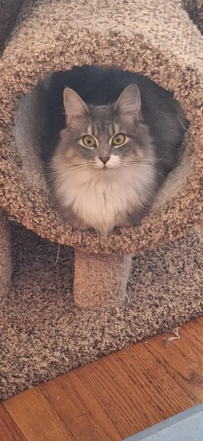 Sugar And Sherry And thumbnail 3