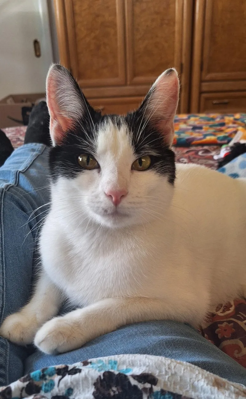 Sugar And Sherry And thumbnail 4