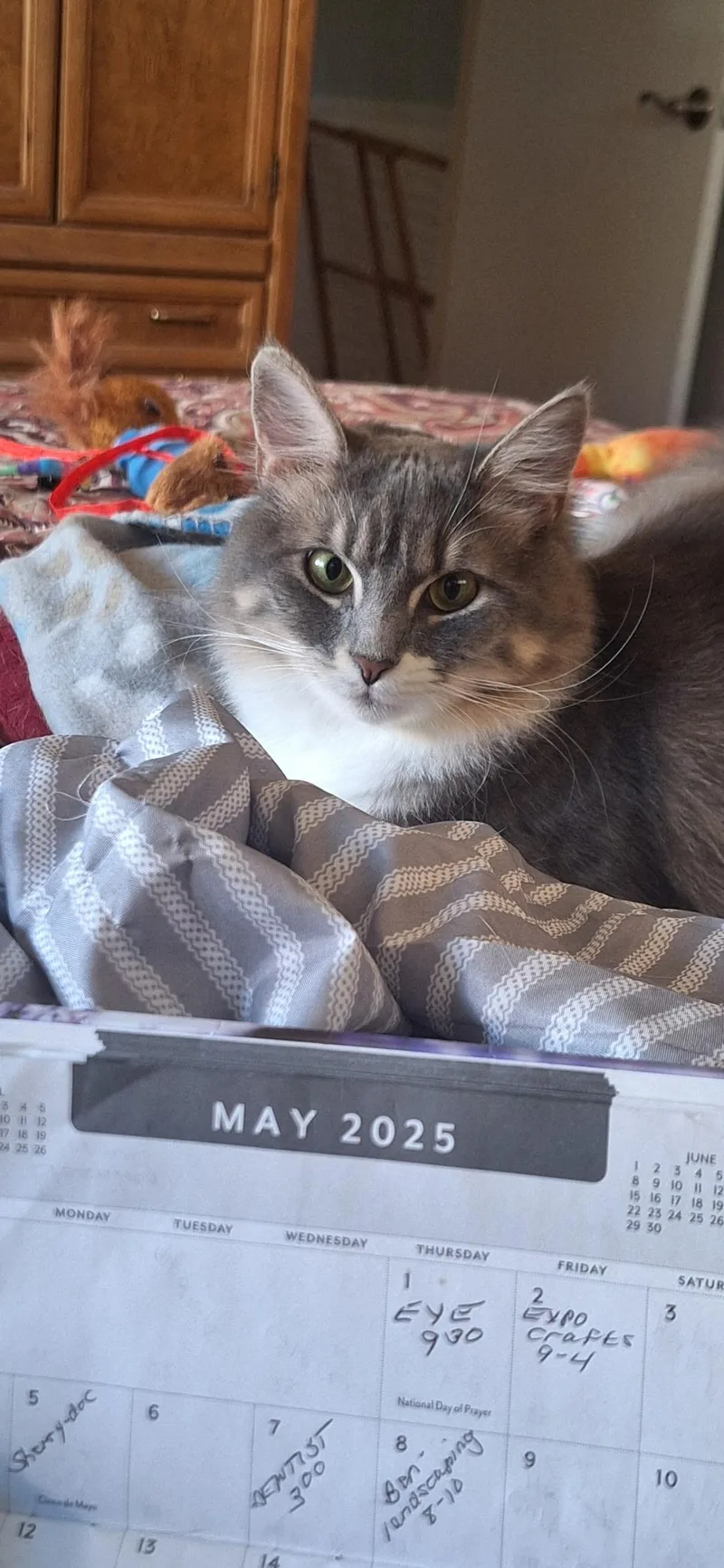 Sugar And Sherry And thumbnail 6